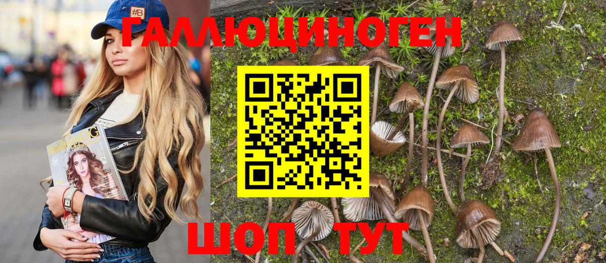 Галлюциногенные грибы Magic Shrooms  где купить   Донецк  Вход с VPN 